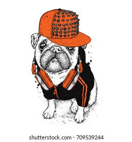 Beautiful pug in a jacket, a cap with spikes and headphones. Vector illustration for a postcard or a poster, print for clothes. Dog hipster in clothes. Fashion & Style. Funny puppy.