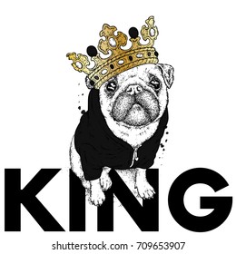 A beautiful pug in the jacket and crown. Vector illustration for a postcard or a poster, print for clothes. Dog hipster in clothes. Fashion & Style. Funny puppy.