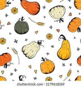 Beautiful pumpkin thanksgiving seamless pattern, cute cartoon pumpkins hand drawn background, great for seasonal textile prints, holiday banners, backdrops or wallpapers - vector surface 