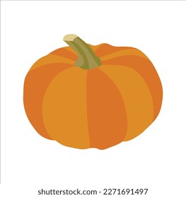 A beautiful pumpkin vector art work