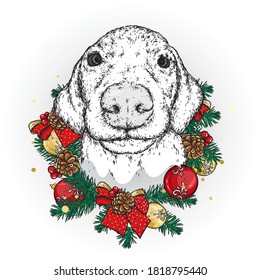 A beautiful puppy in a Christmas wreath. Vector illustration. A pedigree dog in clothes and accessories. New Year's and Christmas.
