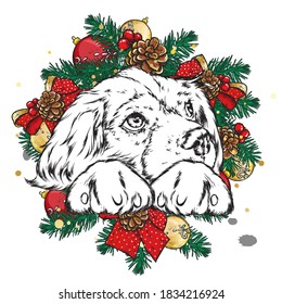 A beautiful puppy in a Christmas wreath. Vector illustration. A pedigree dog in clothes and accessories. New Year's and Christmas.