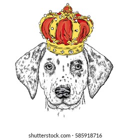 Beautiful puppy in the luxurious Crown. Vector illustration for a card or poster. Cute dog. Dalmatians - king.