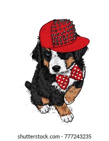 Beautiful puppy in a stylish cap and tie. Vector illustration. Painted thoroughbred dog. Hipster. Clothes and accessories.