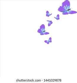 beautiful purple butterflies. isolated on a white.