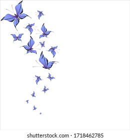 beautiful purple butterflies, isolated on a white 