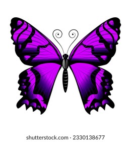 Beautiful purple butterfly. Modern style. Vector illustration isolated on white background.