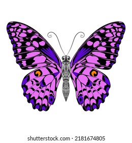 Beautiful purple butterfly. Symbol for design. Vector illustration isolated on white background.