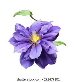 	

A beautiful purple flower, watercolor illustration, isolated on white background, vector EPS 10