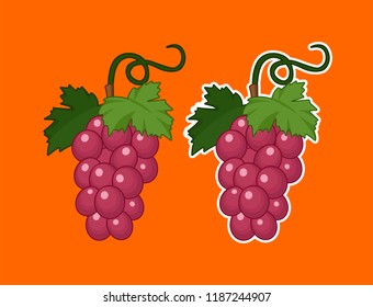 beautiful purple grapes