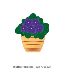 Beautiful purple hydrangea flower in pot. Vector illustration