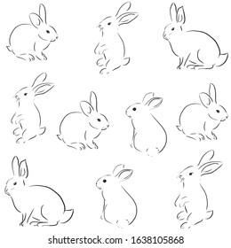 beautiful rabbit art vector illustration