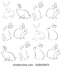 beautiful rabbit art vector illustration