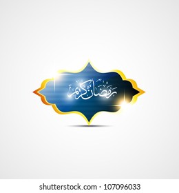 beautiful ramadan kareem vector illustration