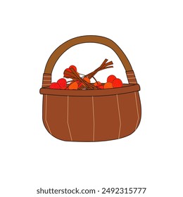 Beautiful rambutan fruit in a basket vector design illustration. Picnic. Fresh fruits in cartoon style. Red, orange, brown color. Bunch ripe rambutan isolated on white background. Realistic, cute. 