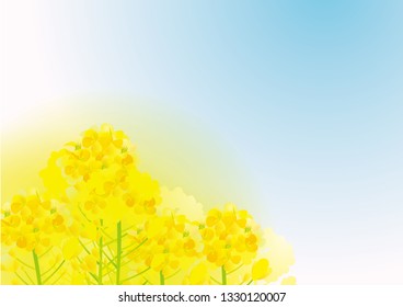 菜の花 のイラスト素材 画像 ベクター画像 Shutterstock