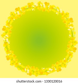 A beautiful rape flower illustration