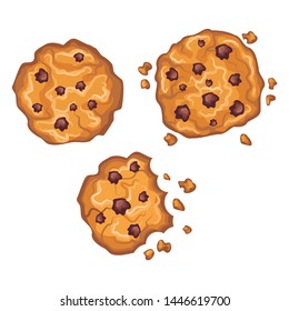 Beautiful realisitc cookies with chocolate vector, isolated