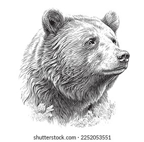 Beautiful realistic bear portrait