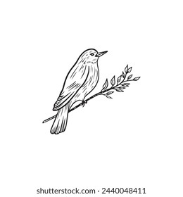 Beautiful realistic bird is sitting on the spring blooming branch with leaves in black isolated on white background. Hand drawn vector sketch illustration in doodle engraved line art vintage style