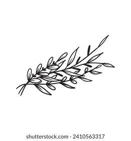 Beautiful realistic bunch of abstract branch with leaves in black isolated on white background. Hand drawn vector sketch illustration in doodle vintage engraved outline, line art style. Floral.