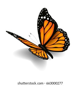 Beautiful Realistic Butterfly Vector Illustration Stock Vector (Royalty ...