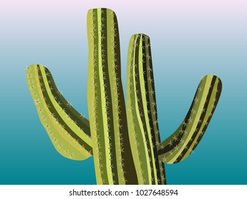 Beautiful Realistic Cactus. Prickly Tree with Needles. Cactus for Web Design, Wallpapers, Illustrations, Postcards, Invitations, Textile, Fabrics, Tiles, Posters, Banners.