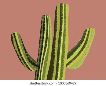 Beautiful Realistic Cactus. Prickly Tree with Needles. Cactus for Web Design, Wallpapers, Illustrations, Postcards, Invitations, Textile, Fabrics, Tiles, Posters, Banners.