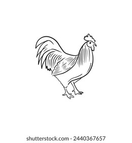 Beautiful realistic chicken cock rooster in black isolated on white background. Hand drawn vector sketch doodle illustration in vintage engraved line art style. Farm animals, eggs, protein products