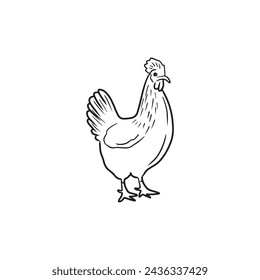 Beautiful realistic chicken as a concept of domestic farm animal. Hen for eggs laying, broiler white meat in black isolated on white background. Hand drawn vector sketch illustration in doodle style.