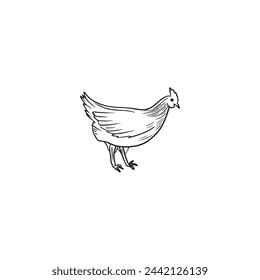 Beautiful realistic chicken, quail, duck as a concept of domestic farm animal. Hen for eggs laying, broiler white meat in black isolated on white. Hand drawn vector sketch illustration in doodle style