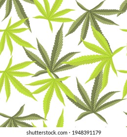 Beautiful realistic closeup of green cannabis on colorful background for wallpaper design. Botanical background. Seamless vector pattern.