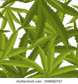 Beautiful realistic closeup of green cannabis on colorful background for wallpaper design. Botanical background. Seamless vector pattern. Vector illustration