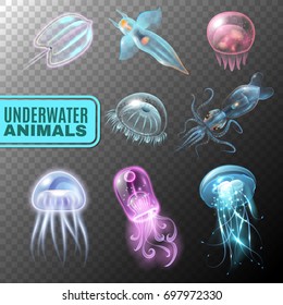 Beautiful realistic and colored underwater transparent icon set swimming in the sea vector illustration