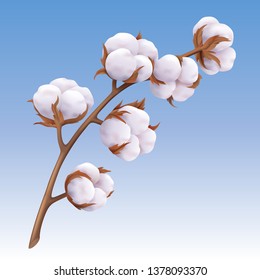 Beautiful realistic cotton branch isolated on blue background, natural white fluffy fiber on stem, vector illustration