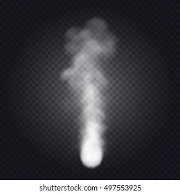 Beautiful realistic detailed smoke on transparent background. Vector illustration. Easy to use.