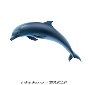 Beautiful realistic dolphin on white background vector illustration