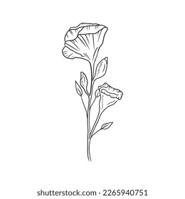 Beautiful realistic Eustoma flower branch with bud and leaves isolated on white background. Hand drawn vector sketch illustration in doodle engraved outline line art style. Floristics