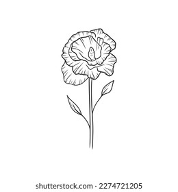 Schöner realistischer Eustoma-Blumenzweig mit Knospen und Blättern einzeln auf weißem Hintergrund. Handgezeichnete Vektorgrafik-Illustration im doodle-gravierten Skizzenstil. Floristik