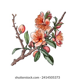 Hermosa flor realista en una rama de árbol. Almendra adhesiva. Florecimiento primaveral de árboles frutales. Sakura, cerezo, melocotón, flor de manzana. Diseño compacto para impresión, ropa, postal, camiseta, logotipo