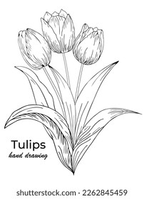 Beautiful realistic flowers, tulips. The composition is drawn by hand. Great idea for invitations, posters, cards, backgrounds, for printing and layout, etc.