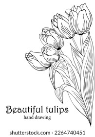 Beautiful realistic flowers, tulips. The composition is drawn by hand. Great idea for invitations, posters, cards, backgrounds, for printing and layout, etc.