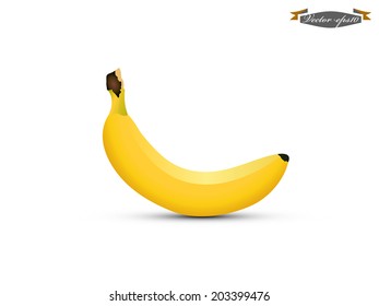 beautiful realistic graphic design of banana vector