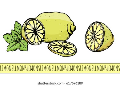 Beautiful realistic lemons and slices
