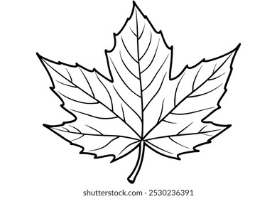 Beautiful Realistic Maple Autumn Leaf Illustration in Black Isolated Background