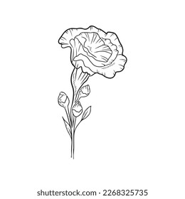 Beautiful realistic opened Eustoma flower branch with bud and leaves isolated on white background. Hand drawn vector sketch illustration in doodle engraved outline line art style. Floristics