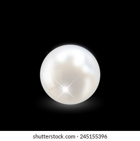 Beautiful realistic pearl illustration vector