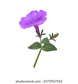 Beautiful realistic petunia flower stem isolated on white background