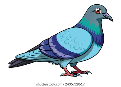 Beautiful realistic pigeon vector illustration artwork