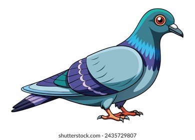 Beautiful realistic pigeon vector illustration artwork